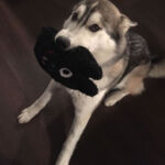 Eska
